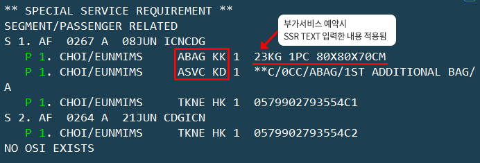 Special Service Requirement (SSR ASVC) ݿ Ȯ 