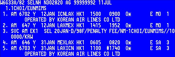 PNR Service Segment (SVC) Է