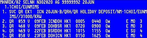 PNR Service Segment (SVC) Է