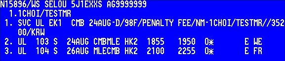 PNR Service Segment (SVC) Է